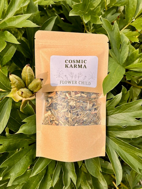 Cosmic Karma